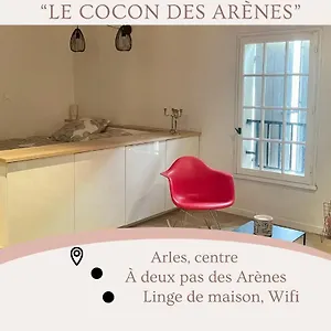Cocon Au Pied Des Arènes D'arles Arles